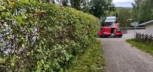 pensasaidan-leikkaus