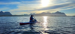 siina-lehikoinen1 (1)